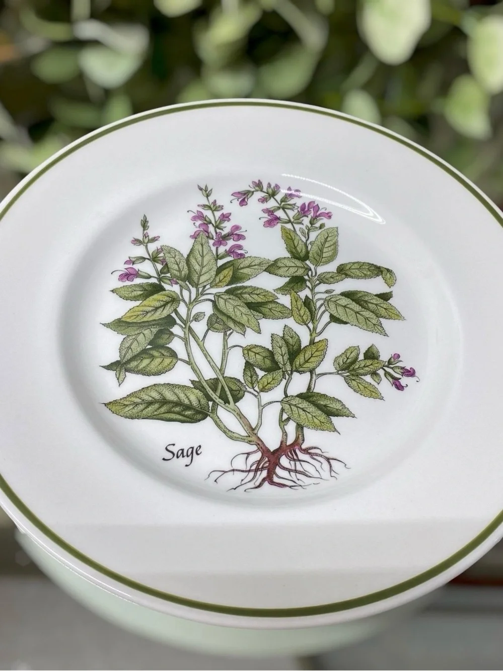 3 Tiffany & Co Johnson Brothers Herbs Salad Plates 7 7/8” Rosemary Sage Parsley